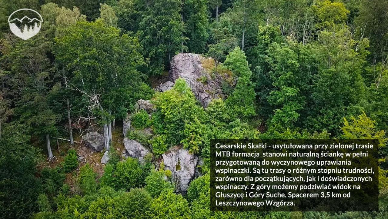 Agroturystyka Leszczynowe Wzgorze Gluszyca Exterior foto